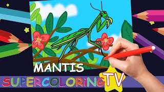 How to Draw a Mantis, Easy Drawing, Simple Drawing, How to Draw Animals, How to Draw for Kids