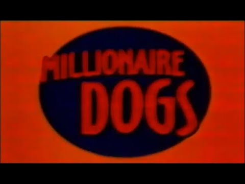 Millionaire Dogs — трейлер