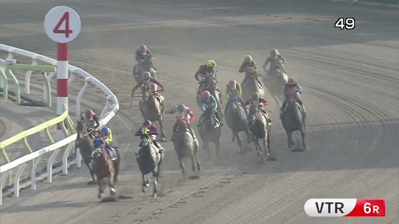 競馬 THE LINK 絶対連動 発見！永遠に続くJRA馬番リンク Playback TCK（2022/6/9） - YouTube