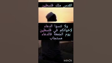 لا تنسوا قراءة سورة الكهف ليلةالجمعةأو يوم الجمعة،والدعاء لإخوانكم في فلسطين