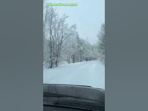 Поехали в Висимский заповедник #зима #красота #природа #лес #туризм # ...