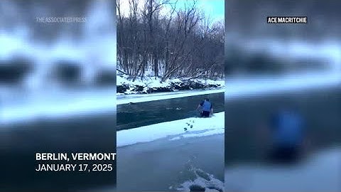 Vermont dog rescue