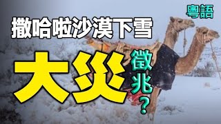 🔥🔥撒哈拉沙漠下雪了 大災徵兆❓