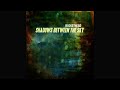Full Album] Shadows Between The Sky no drums version - Buckethead