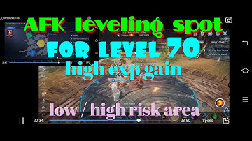 MIR4 | AFK LEVELING SPOT FOR LEVEL 70 | HIGH EXP GAIN LESS RISK