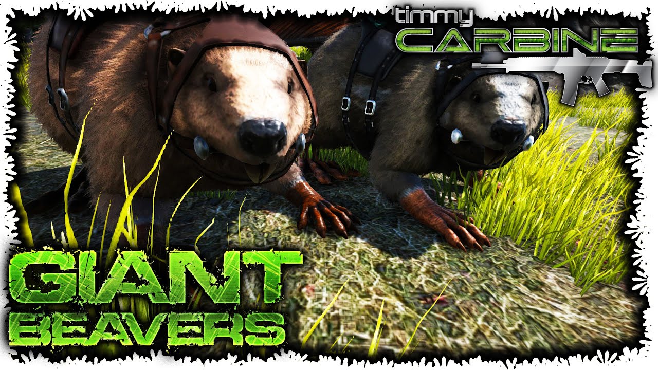 Ark:SE Update v236 || All about Giant Beavers (Castoroides) || TimmyCarbine
