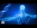 Alpha Waves Heal Damage in the Body | Emotional And Physical Healing | Music Heals the Whole Body