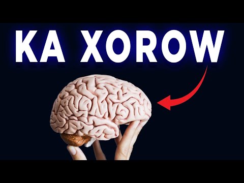 1 TALLO NOLOSHADA BADALI DOONTA PSYCHOLOGY 