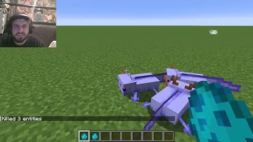 Minecraft Java Edition 1.21 - Hoe maak je aangepaste spawn-eieren (tutorial opgelost)