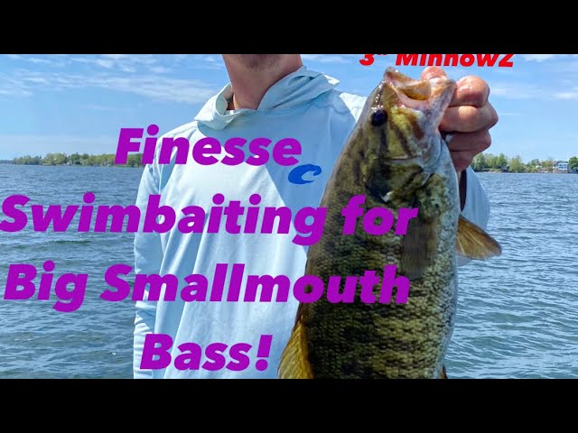 5 with Nixon, Swimbait learnins, Big fall smallmouth tips