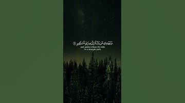 والله يدعوا إلى دار السلام من سورة يونس بصوت الشيخ عبدالرحمن مسعد