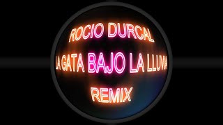ROCIO DURCAL - LA GATA BAJO LA LLUVIA REMIX by DJ 730 1,007 views 4 months ago 6 minutes, 9 seconds
