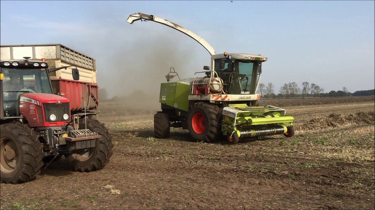 Vezelhennep hakselen door Dun Agro uit Oude Pekela