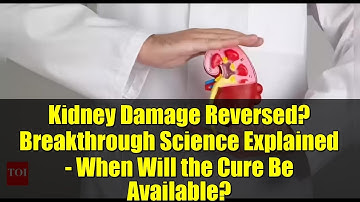 Kidney Damage Reversed? Breakthrough Science Explained - When Will the Cure Be Available?