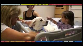 Animal Assisted Therapy