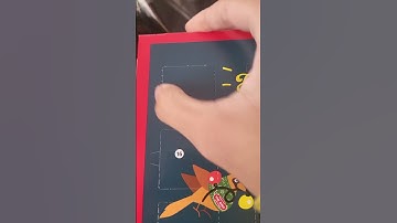 Day 1 Unboxing Trader Joe