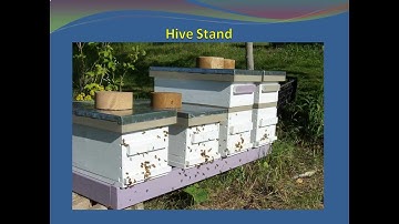 Bee Equip. Essenttials - Part 2 Hive Stand