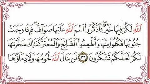 سورة الحج القارئ الشيخ فارس عباد تلاوة خاشعة مكتوبة جودة عالية جدا Sheikh Fares Abbad