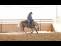 Improve your downward transitions  large fast to small slow reining drill