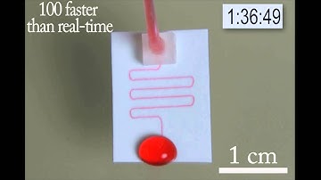 Paper Microfluidic Device running for 3h