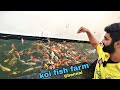 Indoor koi fish pond  koi farm in chennai    ohmyfish8113