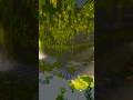 Lush Cave Secret Found! 😱🌿 | Minecraft Shorts | AmanOP Gaming | #shorts