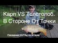 Карп vs Толстолоб.  Рекордные КАРПЫ На Штекер