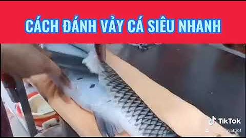CÁCH ĐÁNH VẢY CÁ SIÊU NHANH