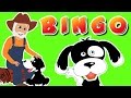 Bingo Kinderreime | Kinderliedern in Deutsch | Reime Kompilation in Deutsch