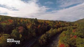 White Mountains Foliage Report - October 11, 2019