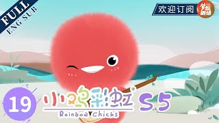 【ENG SUB】我能参加吗 Can I come, too | 《小鸡彩虹》Rainbow Chicks S5 EP19