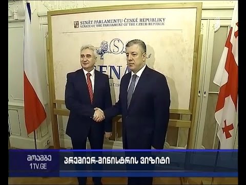 შეხვედრა საქართველოს დელეგაციასა და ჩეხეთის რესპუბლიკის სენატის თავმჯდომარეს შორის