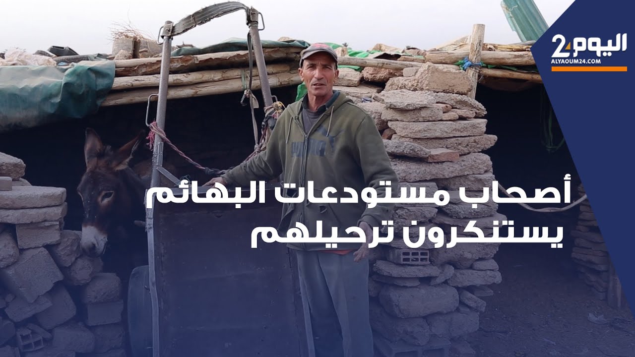 أصحاب مستودعات البهائم بمراكش يستنكرون ترحيلهم دون حصولهم على تعويض