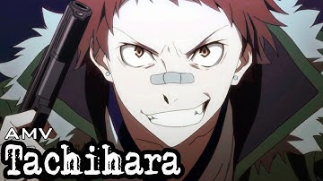 [AMV] 🌪 Tachihara – Chaos, Guns & Loyalty (BSD Edit)