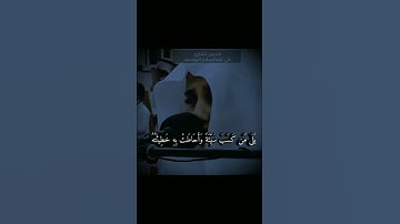 بَلَى مَن كَسَبَ سَيِّئَةً وَأَحَاطَتْ بِهِ خَطِيئَتُهُ||القارئ علي عبدالسلام اليوسف|تريح النفوس