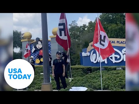 Nazi Flags, Desantis Flags Seen Flying Outside Disney During Protests | Usa Today