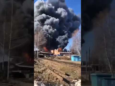 Video: Taman Igor Lyadov yang menakjubkan