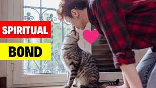 Here’s Why Your Cat Is More Than A PET #catlovers #catbreed #catvideos #cat #pets by Geographic Animalz 140 views 4 months ago 1 minute, 57 seconds