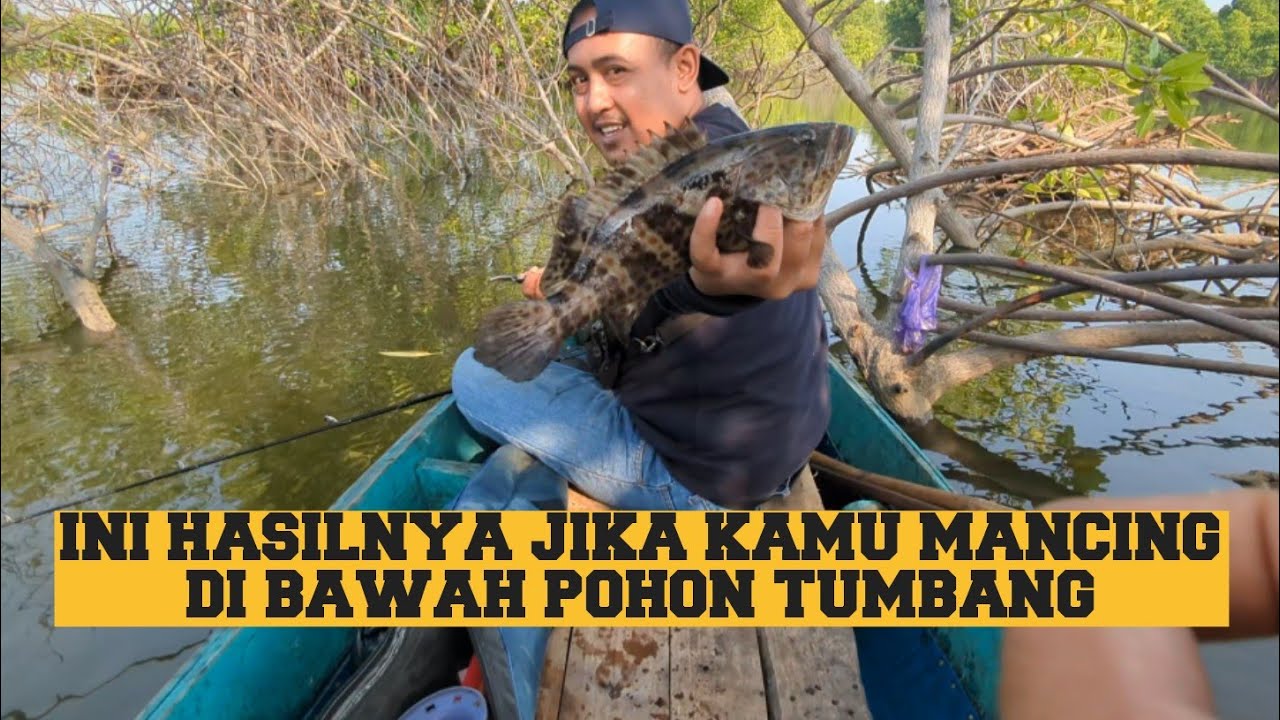 BERMALAM DAN MEMANCING DIATAS PERAHU KECIL ❗DI BAWAH POHON BAKAU TUMBANG DI SITU SARANG IKAN