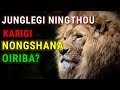 Junglegi ningthou karigi nongshana oiribathe lion mentality