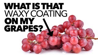 What IS That WAXY COATING on My Grapes?