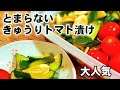 食べるサプリ【やみつき胡瓜ミニトマト】とまらない！健康黒酢にんにく漬け/作り置き常備菜保存/漬物ダイエット無限きゅうり/簡単節約レシピ