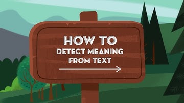 Einstein Platform: Language