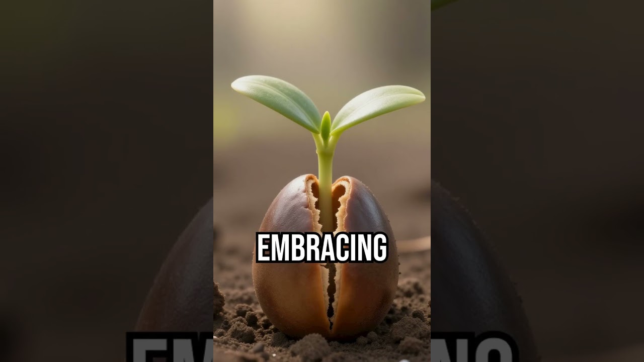 Embrace challenges, grow stronger. #Resilience #Growth #Inspiration