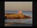 Daskro Ft Larzen Soussa Zin El Bolden Daskro Ft Larzen Soussa Zin El Bolden