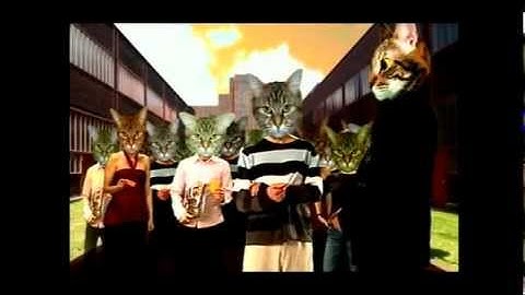 Sparks - Dick Around (Official Video)