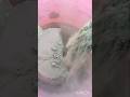#greenish #muddirt #crumbleart #shortsviral