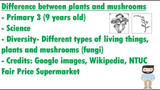 Differences between Plants and Fungi screenshot 2