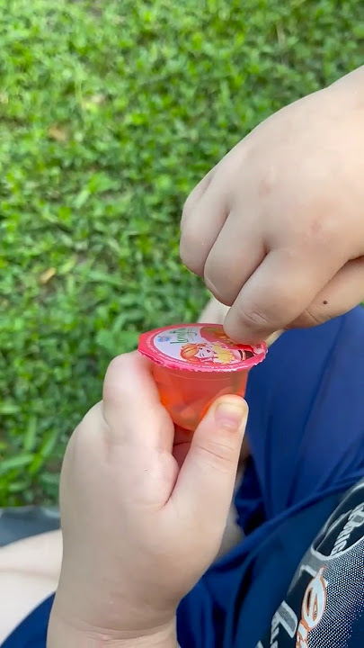 WOW! Ý tưởng THÔNG MINH và RẤT HỮUÍCH🍇🥝🥑🍅🍎#camping#survival#bushcraft#outdoors#lifehack