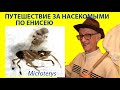 Путешествие Энтомолога по Енисею за Насекомыми. Песня В. Цоя в Дудинке. Рассказ Е.С. Сугоняева.